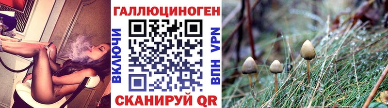 Псилоцибиновые грибы Psilocybe  Макарьев 